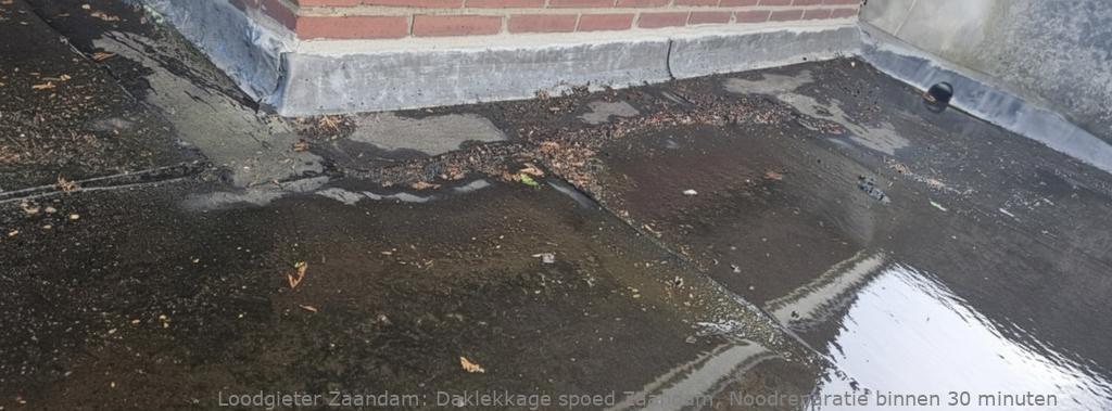 Daklekkage Spoed Zaandam