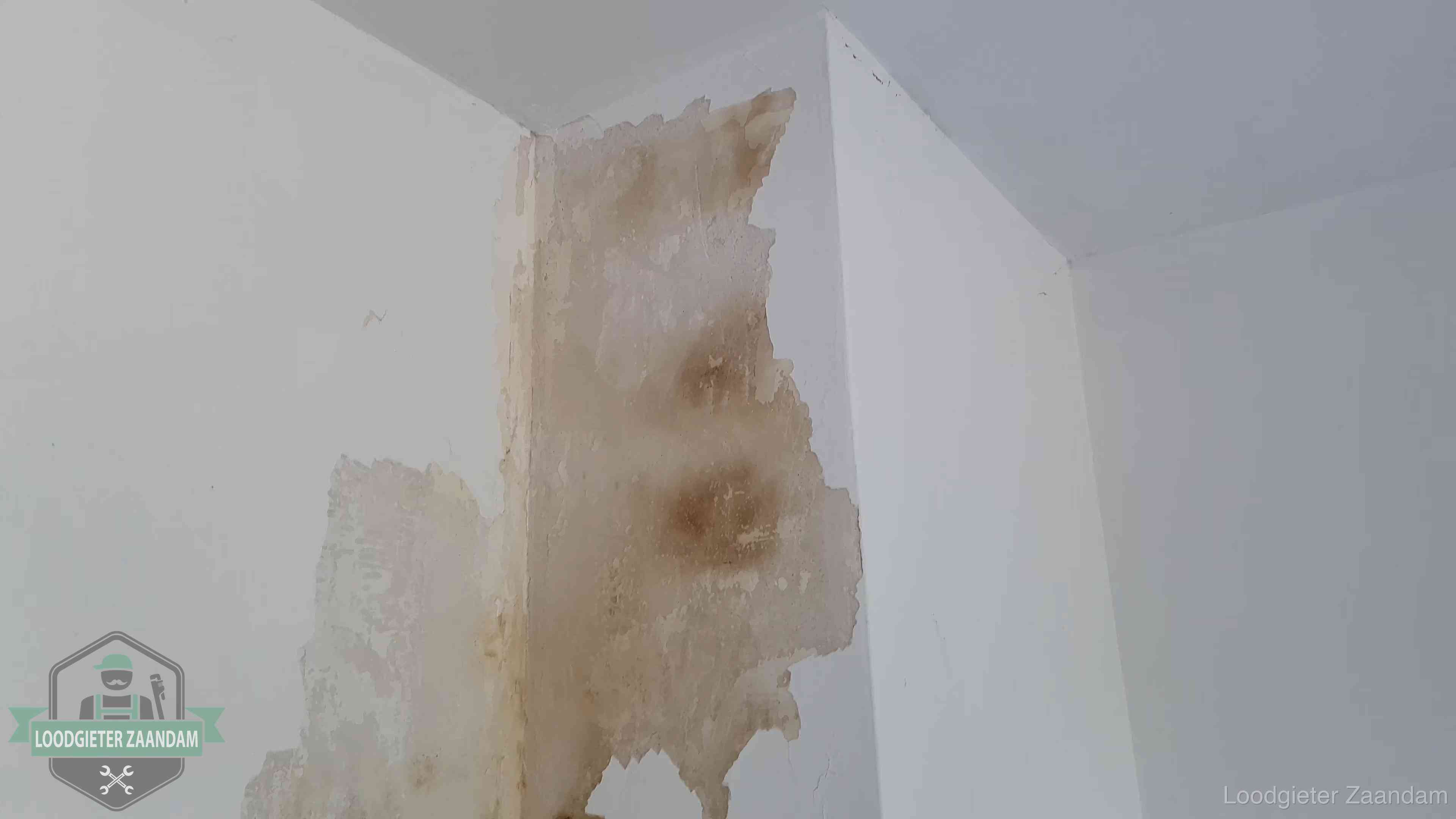 Daklekkage herkennen in Zaandam Bruine vochtkringen en afbladderend stucwerk op een binnenmuur in Zaandam, een eerste teken van daklekkage
