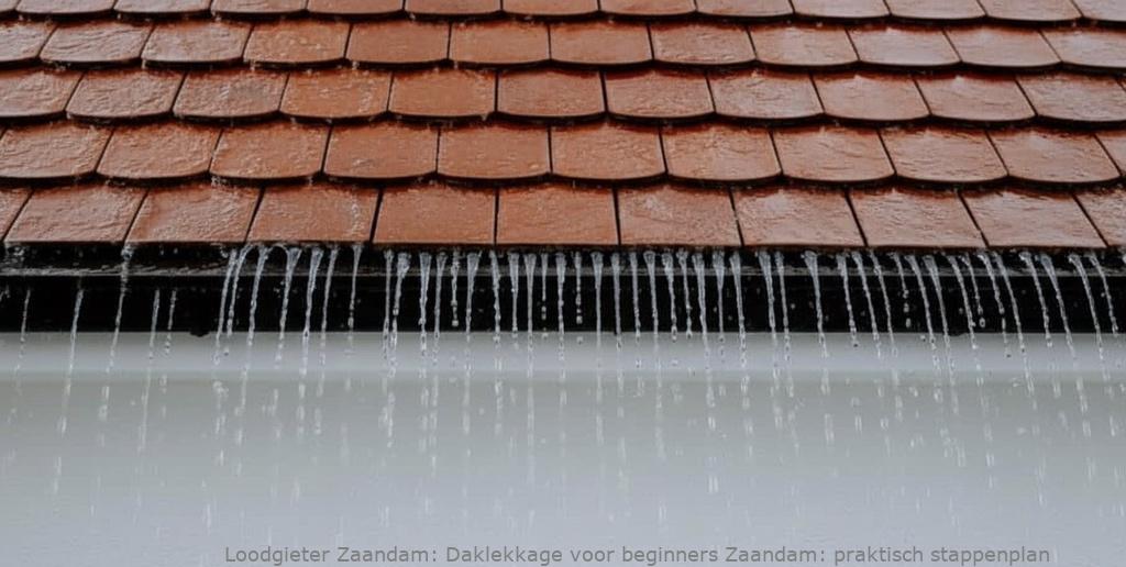 Daklekkage Voor Beginners Zaandam