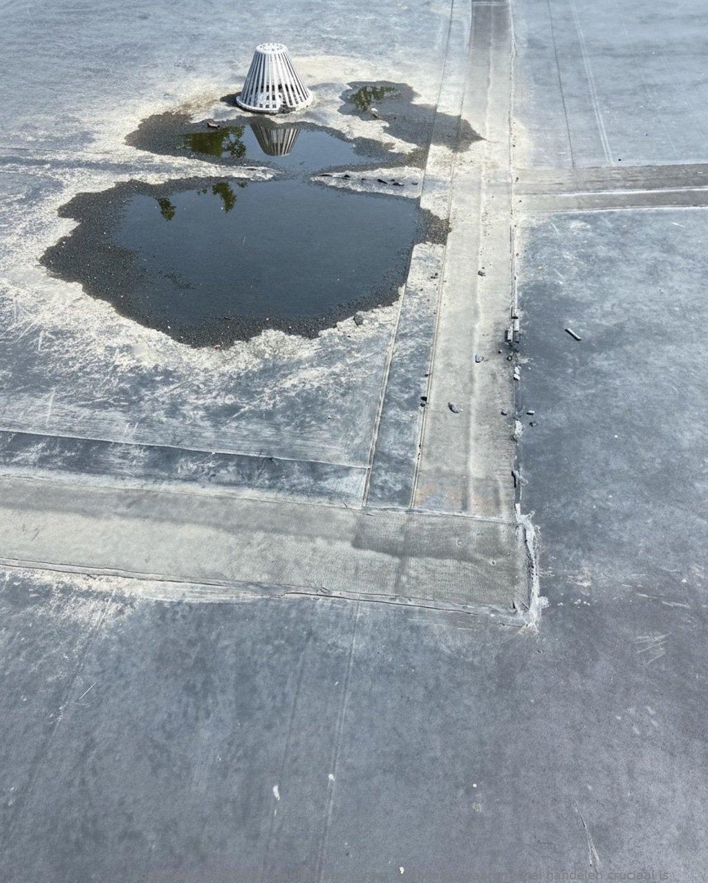 Daklekkage Winter Zaandam