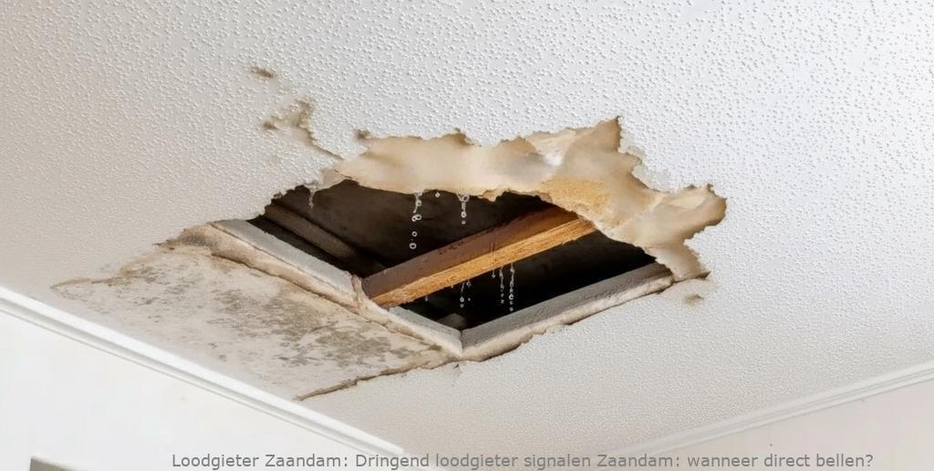 Dringend Loodgieter Signalen Zaandam