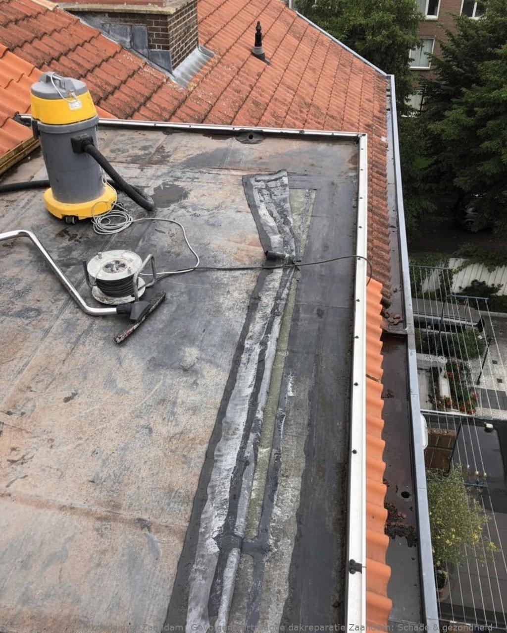 Gevolgen Vertraagde Dakreparatie Zaandam