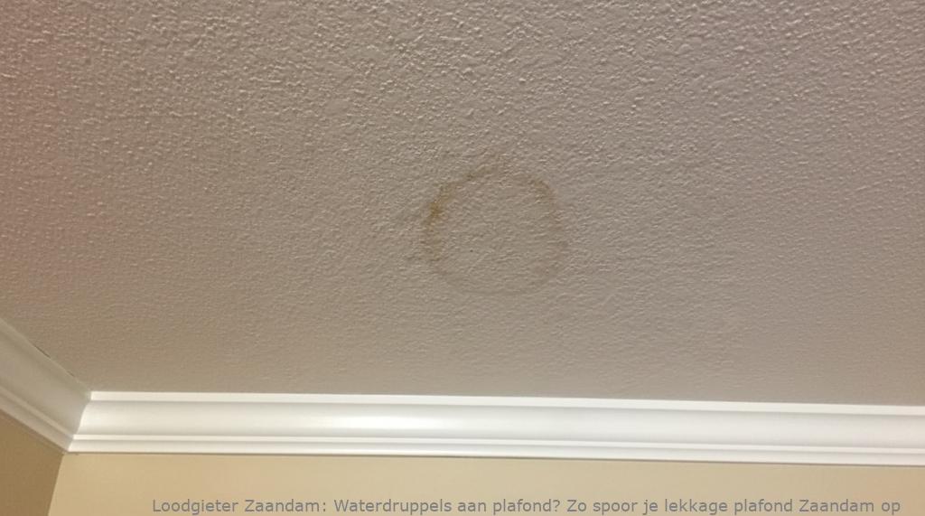 Lekkage Plafond Zaandam