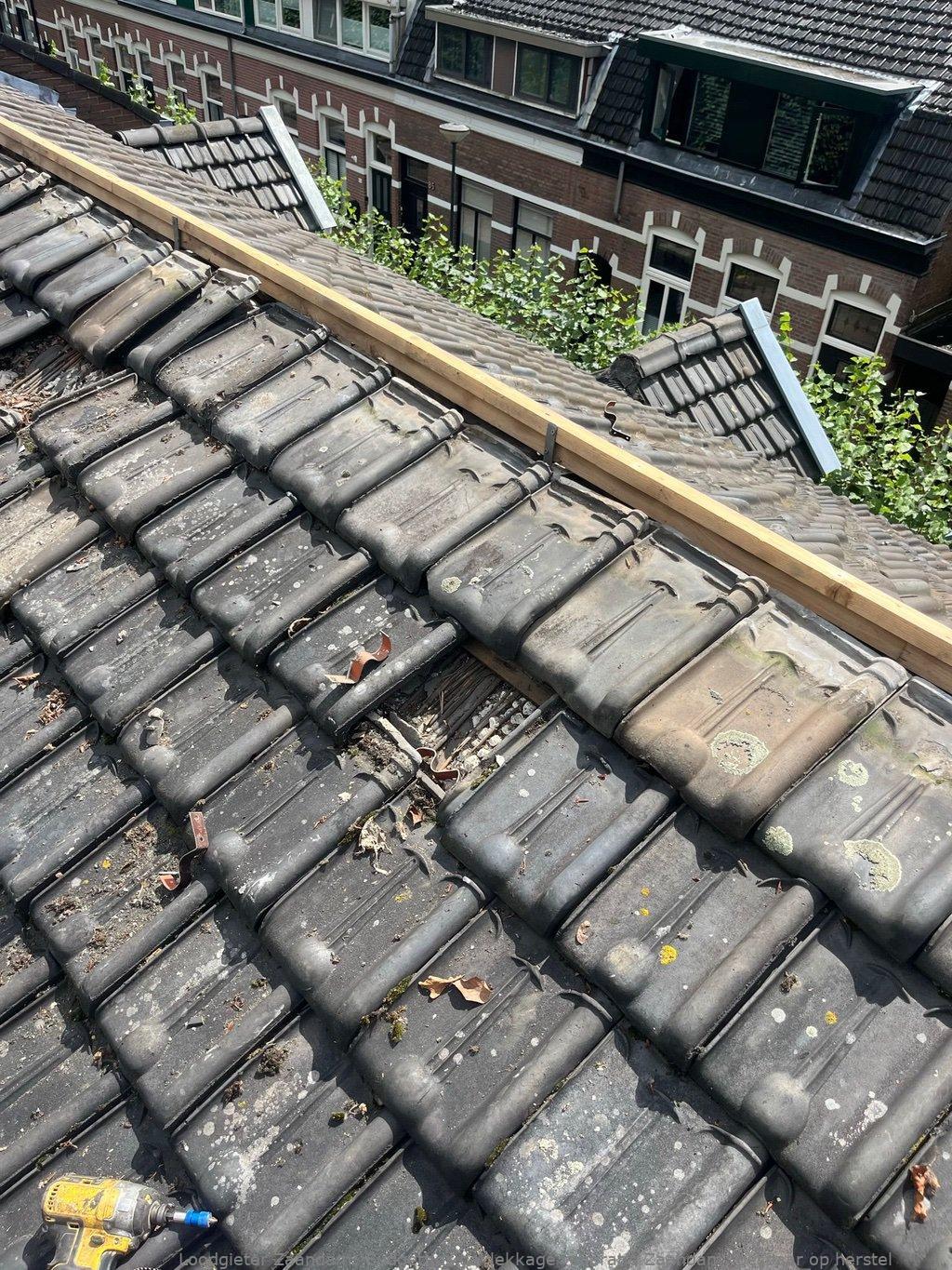 Lekkage Reparatie Zaandam