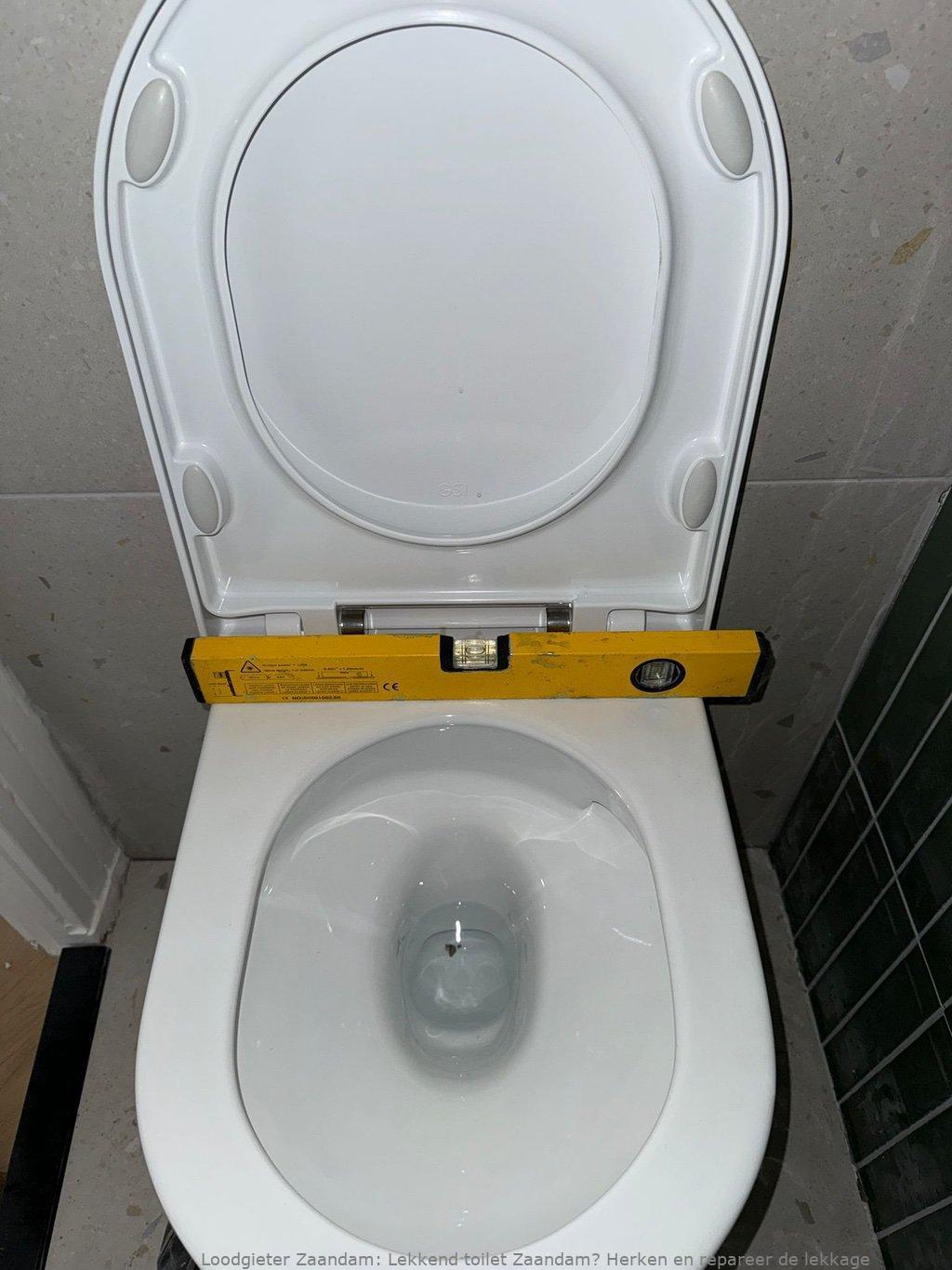 Lekkage Toilet Zaandam