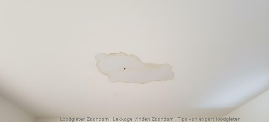 Lekkage Vinden Zaandam