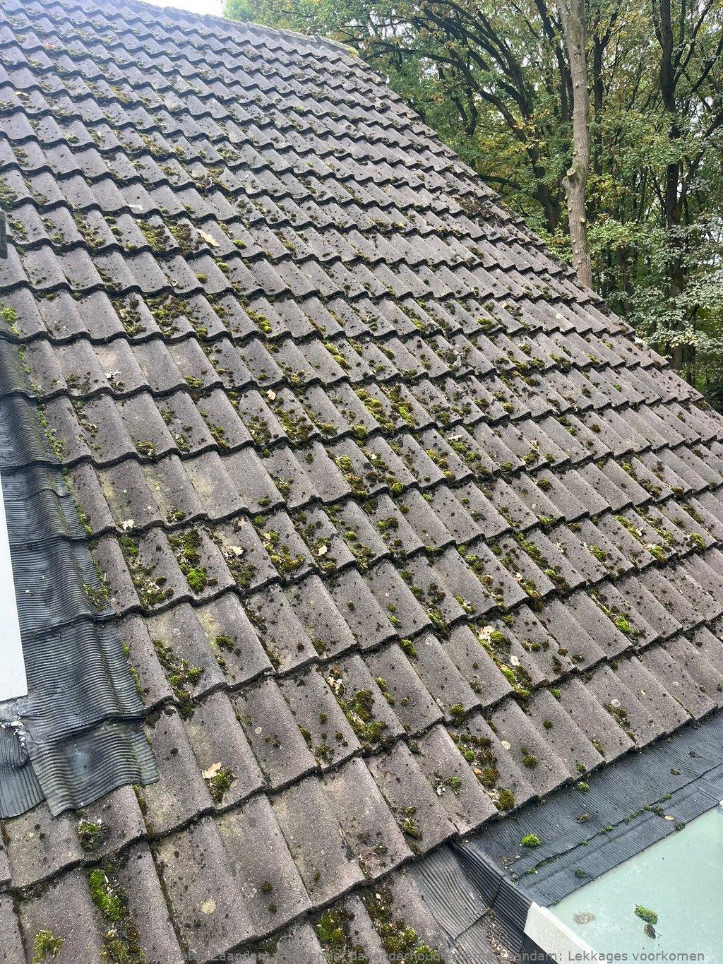 Preventief Dakonderhoud Schema Zaandam