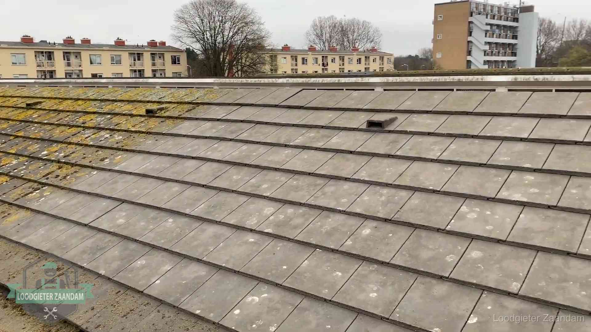 Dakpannen op een schuin dak in Zaandam Schuin dak met betonpannen vol mos in Zaandam, een risico op lekkage bij de pannen