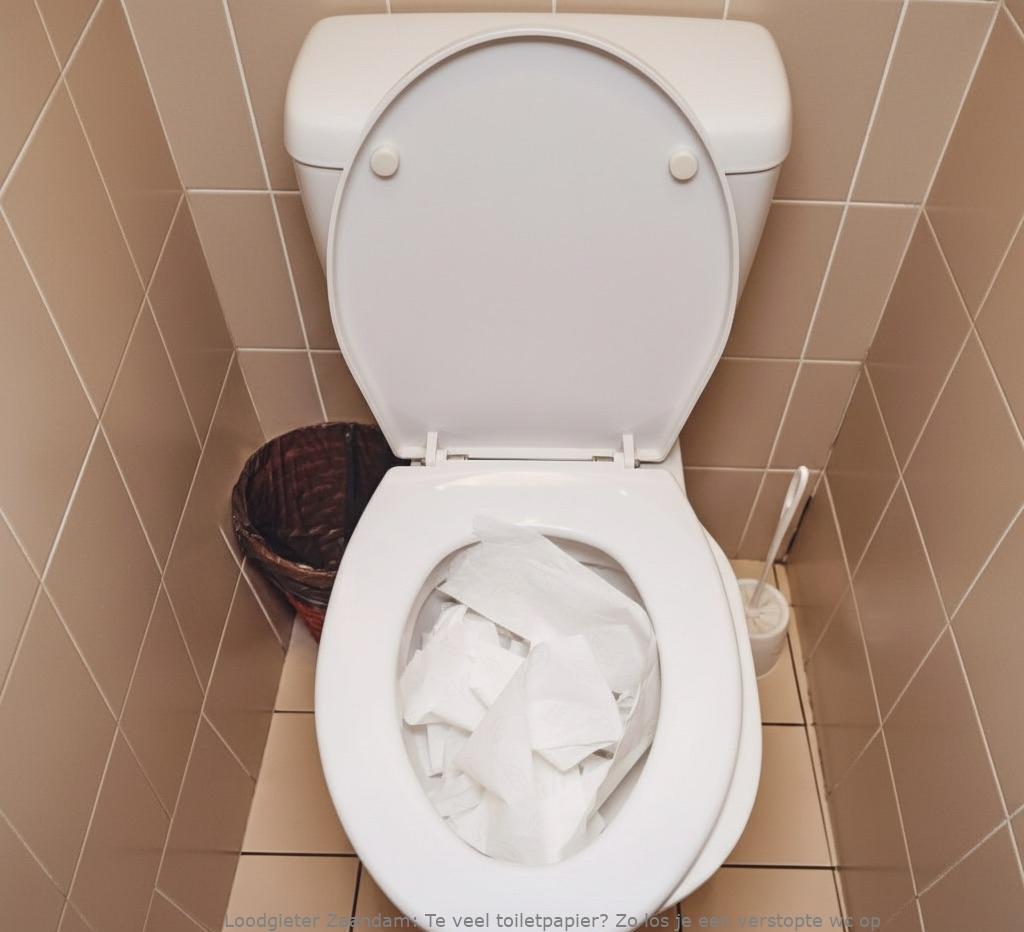 Te Veel Toiletpapier Oplossing Zaandam