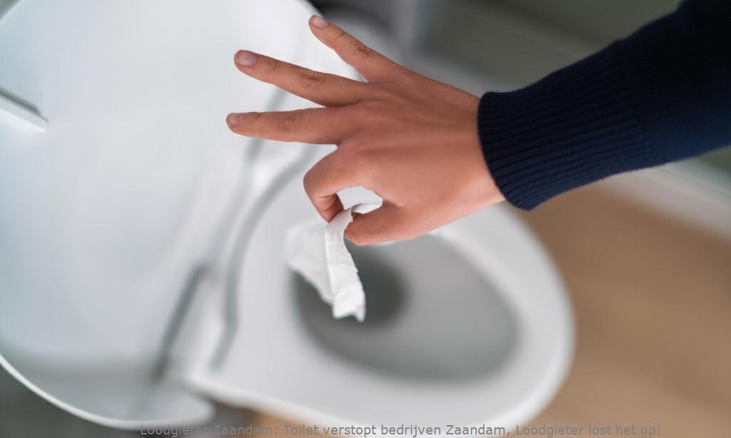 Toilet Verstopt Bedrijven Zaandam