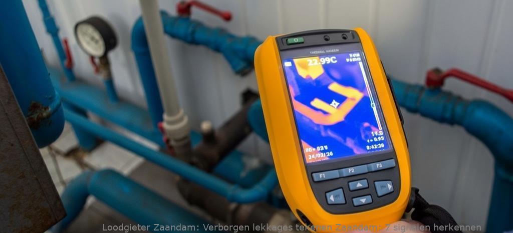 Verborgen Lekkages Tekenen Zaandam