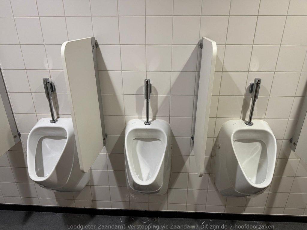 Verstopping Wc Zaandam