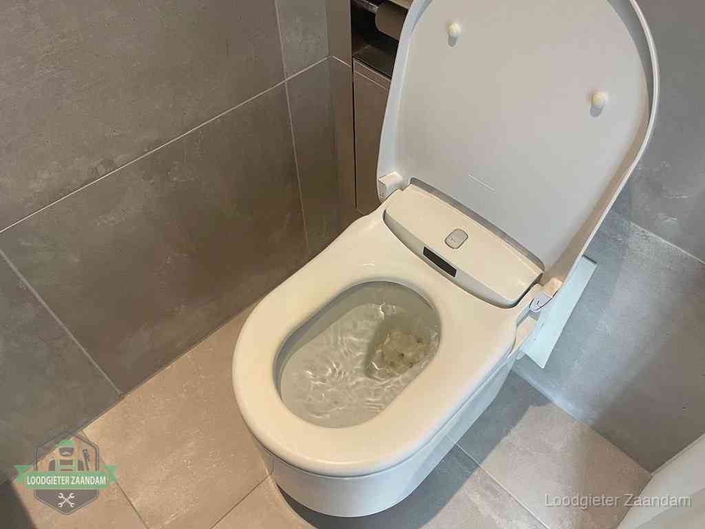 Wc Verstopt In Zaandam